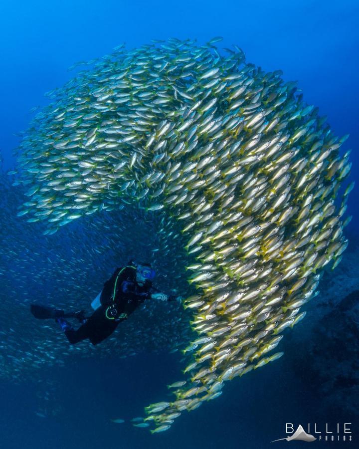 Hydronauts Diving Resort - Ko Tao Esterno foto